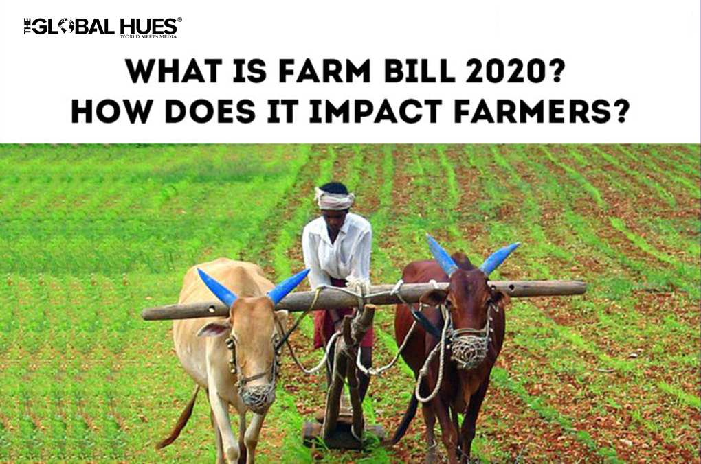 What Is Farm Bill 2020 How Does It Impact Farmers