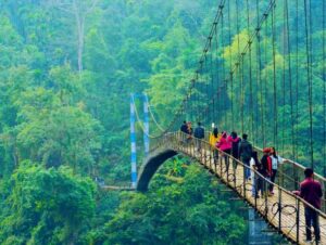 SHILLONG | TOP 10 BEST PLACES TO VISIT IN INDIA | Credit: travenjo.com