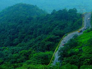 7 Perfect Destinations for Corporate Outings in India | Wayanad, Kerala