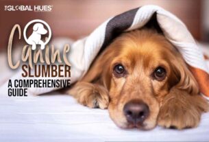 Canine Slumber: A Comprehensive Guide