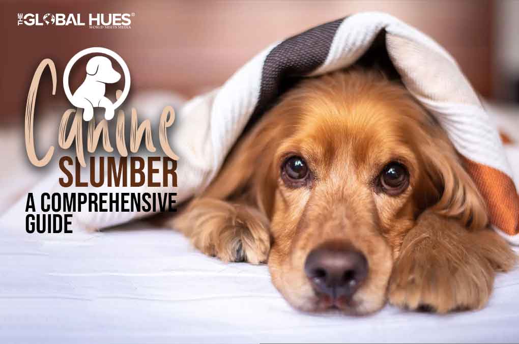 Canine Slumber: A Comprehensive Guide