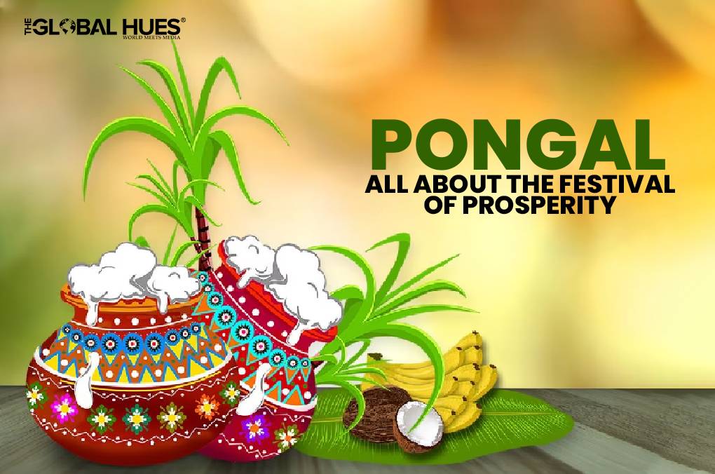 Pongal 2024 All About The Festival Of Prosperity