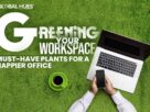 Greening Your Workspace Must Have Plants for A Happier Office