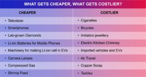 What Gets Cheaper, What Gets Costlier, Budget 2024