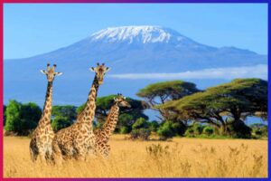 Kenya, Africa, Explore These Green Gems Top Eco-Friendly Travel Destinations
