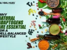 Why-Natural-Adaptogens-Are-Essential-for-a-Well-Balanced-Lifestyle