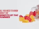 All-You-Need-to-Know-About-the-Benefits-of-THC-Gummies