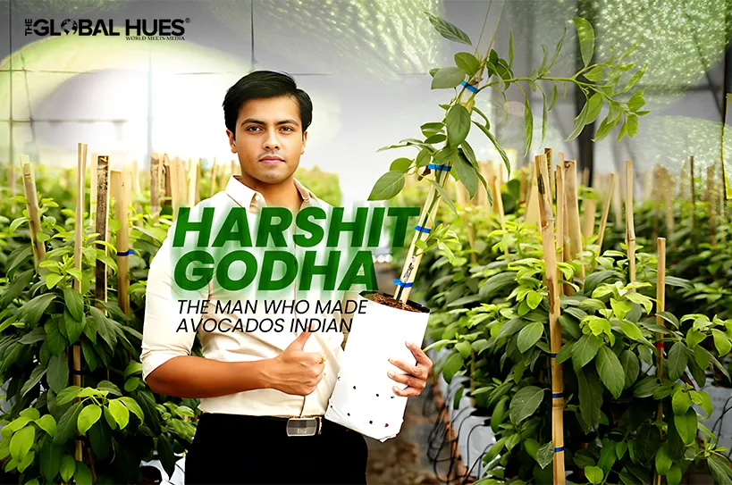 The-Global-Hues-Harshit-Godha-Avocados