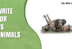 Write for Us Pets – Guest Post on Dogs, Cats & Animal Care