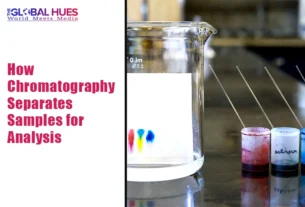 The-Global-Hues-How-Chromatography-Separates-Samples-for-Analysis