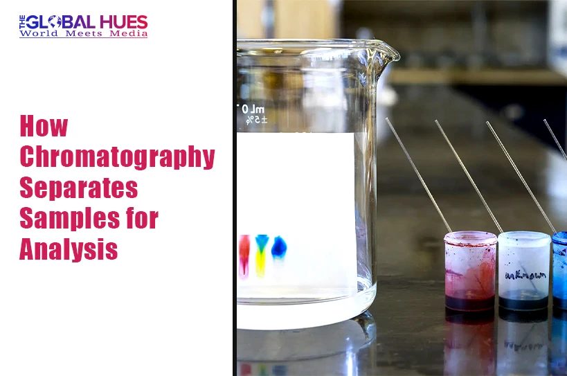 The-Global-Hues-How-Chromatography-Separates-Samples-for-Analysis