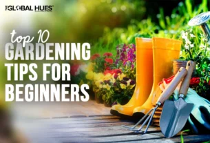 The-Global-Hues-Top-10-Gardening-Tips-for-Beginners