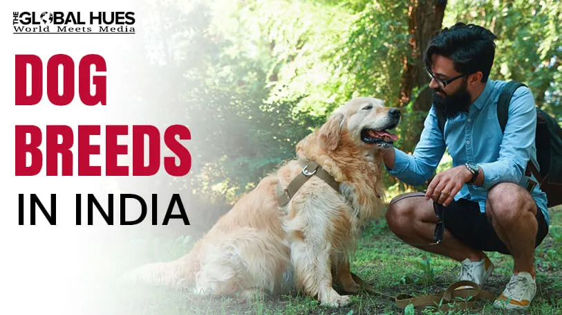 Dog breeds in India