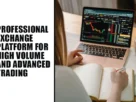 The-Global-Hues-Professional-exchange-platform-for-high-volume-and-advanced-trading