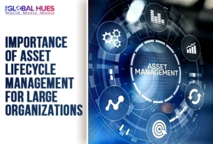 The-Global-Hues-Importance-of-Asset-Lifecycle-Management-for-Large-Organizations