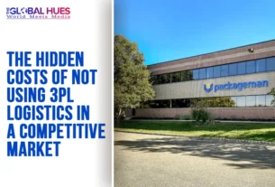 The-Global-Hues-The-Hidden-Costs-of-Not-Using-3PL-Logistics-in-a-Competitive-Market