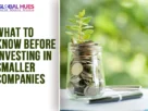 The-Global-Hues-What-to-Know-Before-Investing-in-Smaller-Companies