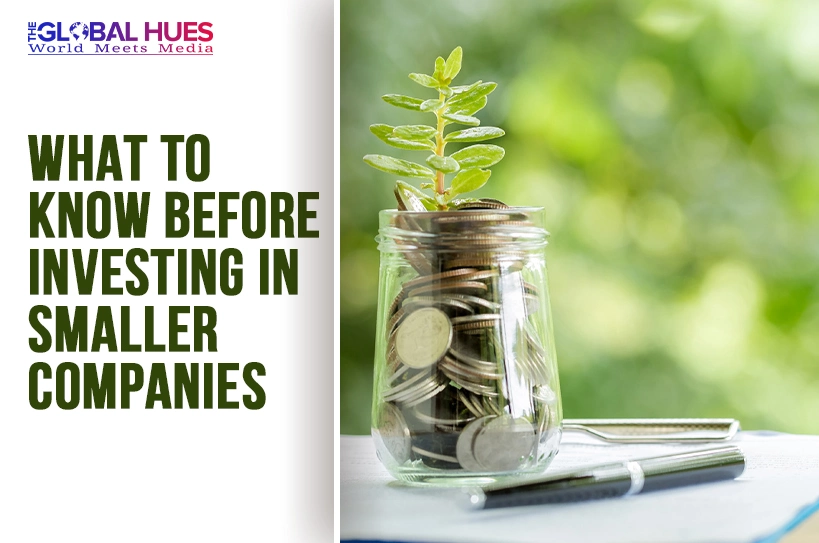 The-Global-Hues-What-to-Know-Before-Investing-in-Smaller-Companies