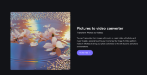 image1 | The Global Hues