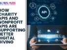 The-Global-Hues-How-Charity-APIs-and-Nonprofit-APIs-Are-Supporting-Better-Digital-Giving