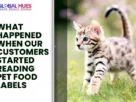 The-Global-Hues-What-Happened-When-Our-Customers-Started-Reading-Pet-Food-Labels