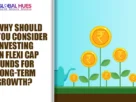 The-Global-Hues-Why-Should-You-Consider-Investing-in-Flexi-Cap-Funds-for-Long-term-Growth